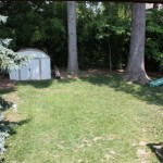 View from Master Bedroom